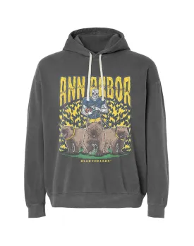 ANN ARBOR FOOTBALL - LIGHTWEIGHT HOODIE